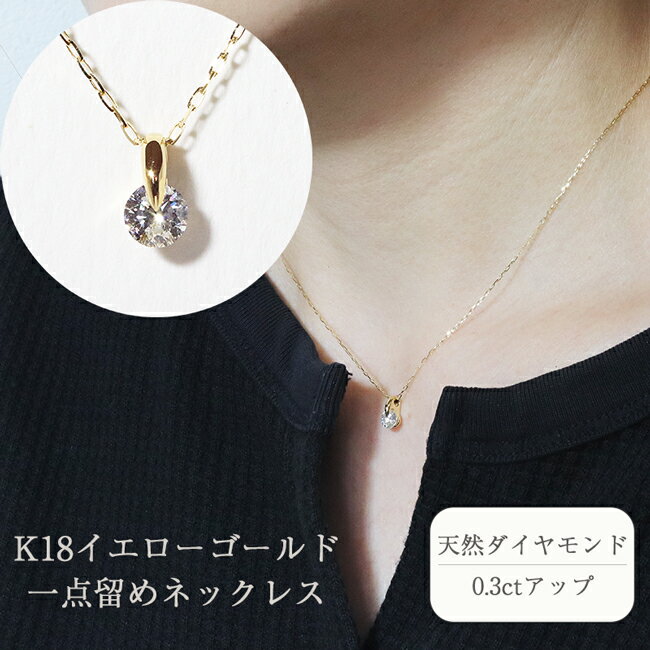 【ふるさと納税】K18 一点留め天然ダイヤモンドネックレス　【 アクセサリー ジュエリー 装飾品 ファッション小物 普段使い おしゃれ 装飾品 】