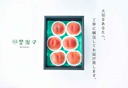 【ふるさと納税】【先行予約！2024年度】桃定期便2kg×2回先行予約 桃 山梨県産 送料無料 厳選 果物 フルーツ お取り寄せ 白鳳 白桃 ギフト 旬なフルーツ ※2024年7月上旬～8月中旬頃に順次発送予定※北海道・沖縄・離島への配送不可※着日指定不可　【定期便・ 果物】･･･ 画像1