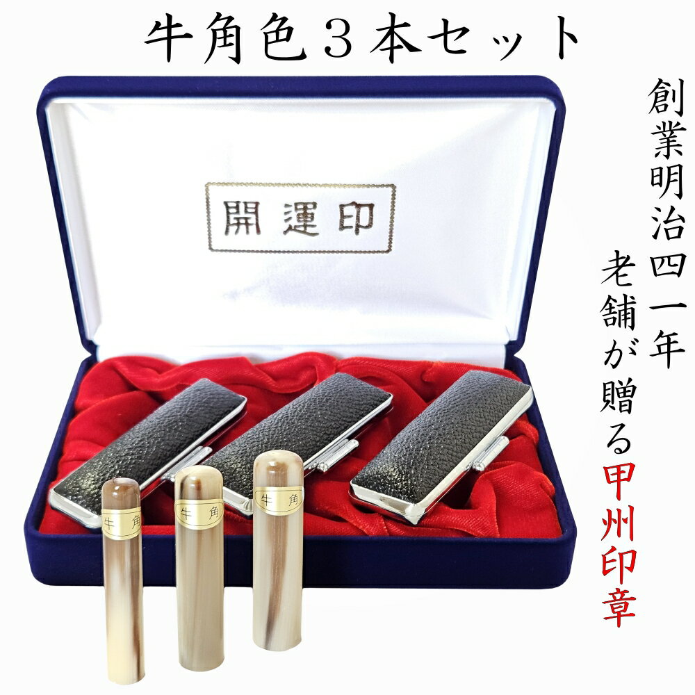 【ふるさと納税】開運吉相印鑑 牛角色セット15...の紹介画像2