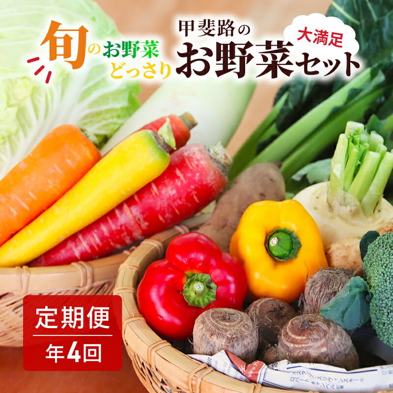 楽天山梨県甲斐市【ふるさと納税】【定期便・年4回】旬のお野菜がどっさり！甲斐路の大満足お野菜セット　【定期便・ フルーツ 詰合せ 有機肥料 おまかせ 季節 支援 安心 新鮮 たっぷり 】