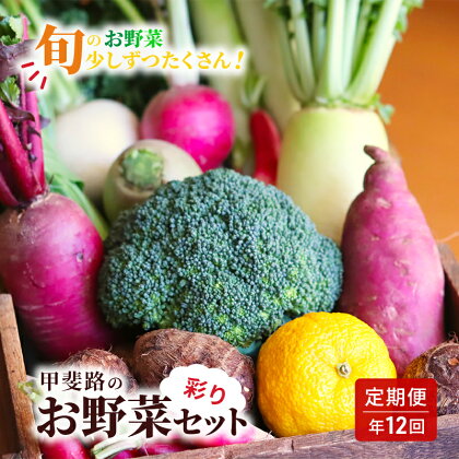 【定期便・年12回】旬のお野菜を少しずつたくさん！甲斐路の彩りお野菜セット　【定期便・ フルーツ 詰合せ 有機肥料 おまかせ 季節 支援 安心 新鮮 たっぷり 】