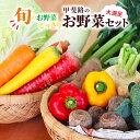 13位! 口コミ数「0件」評価「0」旬のお野菜がどっさり！甲斐路の大満足お野菜セット　【 フルーツ 詰合せ 有機肥料 おまかせ 季節 支援 安心 新鮮 たっぷり 】