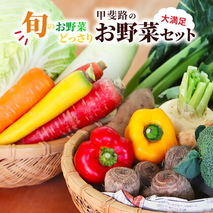 旬のお野菜がどっさり！甲斐路の大満足お野菜セット　【 フルーツ 詰合せ 有機肥料 おまかせ 季節 支援 安心 新鮮 たっぷり 】