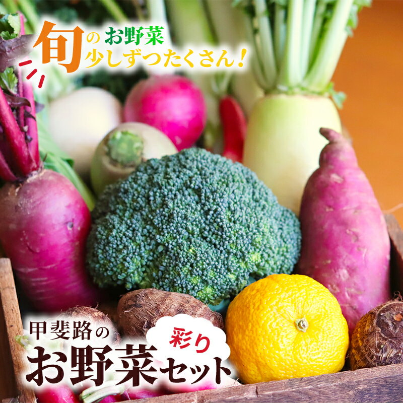 旬のお野菜を少しずつたくさん!甲斐路の彩りお野菜セット [ フルーツ 詰合せ 有機肥料 おまかせ 季節 支援 安心 新鮮 たっぷり]