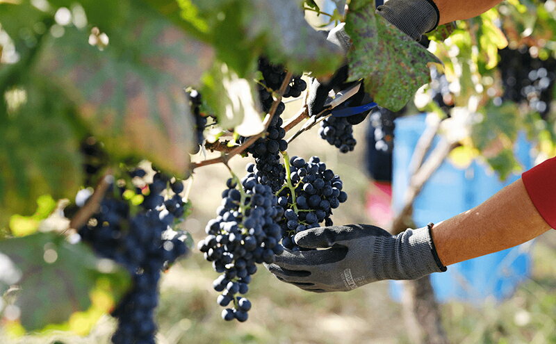 山梨県甲斐市の画像3