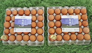 【ふるさと納税】黒富士農場の放牧卵たっぷり60個セット(甲斐B-29)