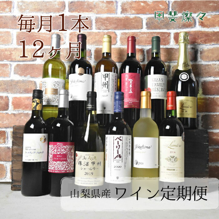 【ふるさと納税】【定期便】ワイン定期便　毎月 飲み比べ 　2本　赤ワイン　白ワイン　スパークリング　日本ワイン 登美の丘ワイナリー　家飲み　お祝い（AD-130）