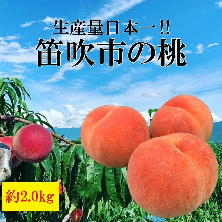 【ふるさと納税】2022年発送分 大玉 桃 約2.0kg 産地直送 山梨県産 フルーツ 桃 常温配送