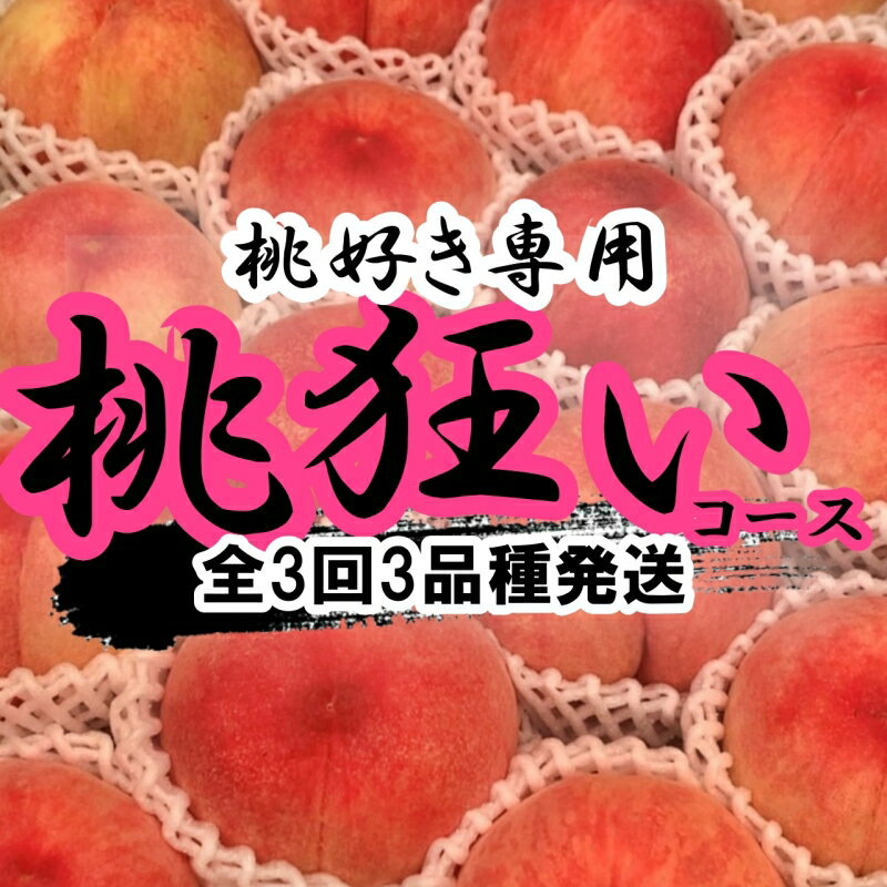 【ふるさと納税】＜2024年先行予約＞山梨県笛吹市産 桃狂い