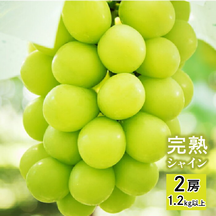 50位! 口コミ数「7件」評価「4.86」【2026年発送★先行予約】【完熟】 シャインマスカット 2房 1.2kg以上 ふるさと納税 シャインマスカット 笛吹市 国産 人気 期間限定 ぶどう 葡萄 果物 山梨県 笛吹市 送料無料 098-0･･･ 