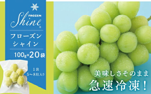 【ふるさと納税】フローズンシャイン100g×20袋　ふるさと納税 シャインマスカット フローズン 大粒 笛吹市 国産 人気 期間限定 ぶどう ブドウ 葡萄 贈り物 ギフト プレゼント 旬 果物 フルーツ 山梨県 送料無料 098-012