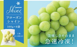 【ふるさと納税】今食べられる シャインマスカット フローズンシャイン （100g×6袋） 小分け ※沖縄県及び離島への配送はできませんので予めご了承ください。･･･ 画像1