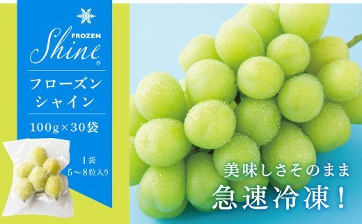 【ふるさと納税】 今食べられるシャインマスカット フローズンシャイン （100g×30袋） シャインマスカット ぶどう マスカット 小分け