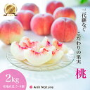 27位! 口コミ数「17件」評価「3.65」【2024年発送】＜先行予約＞やまなし旬の果実 笛吹の朝採り桃2.0kg ふるさと納税 もも 桃 笛吹市 国産 人気 期間限定 果物 フルー･･･ 