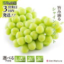 【ふるさと納税】★スピード発送★<25年発送>【2026年発送★先行予約】さわやかに滴る シャインマスカット 2kg~3kg 数量限定 無くなり次第終了シャインマスカット 笛吹市 国産 人気 期間限定 ぶどう ブドウ 葡萄 旬 果物 フルーツ 山梨県 送料無料 065-023