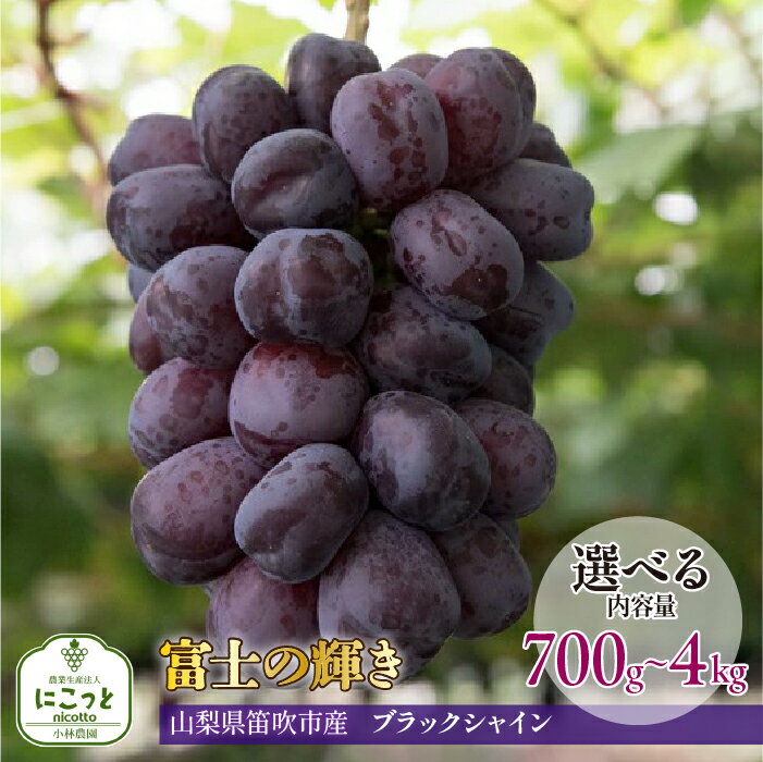 【ふるさと納税】<25年発送先行予約>希少 大粒ぶどう 富士の輝き 約700g〜 【選べる容量】 小林農園のブラックシャインマスカット ぶどう 笛吹市 山梨県産 人気 期間限定 旬 果物 フルーツ 送料無料 お中元 帰省 贈答 ギフト 097-009