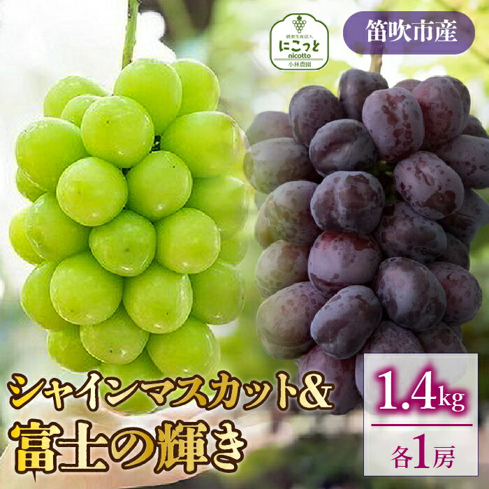 【ふるさと納税】シャインマスカット・富士の輝　1房ずつ（合計1.4kg） ふるさと納税 おすすめ ランキング シャインマスカット 富士の輝 笛吹市 国産 人気 ぶどう ブドウ 葡萄 旬 果物 フルーツ 山梨県 送料無料 097-023のサムネイル