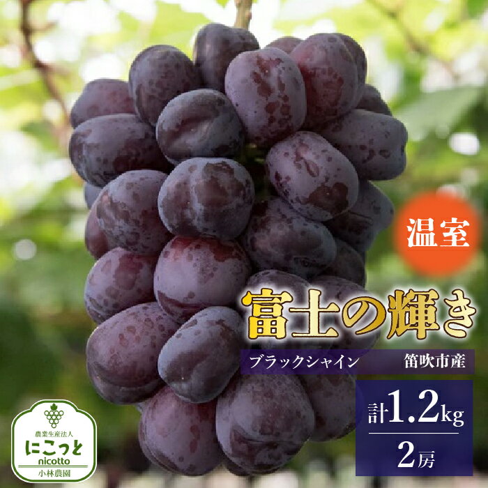 097-024-s-r_su.jpg 097-024-s-r_su.jpg