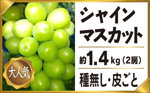 ふるさと納税 シャインマスカット 約1 4kg 2房 産地直送 完熟 フルーツ ぶどう 特 安 情 報 楽天ブログ ふるさと納税 シャインマスカット 約1 4kg 2房 産地直送 完熟 フルーツ ぶどう 特 安 情 報 楽天ブログ