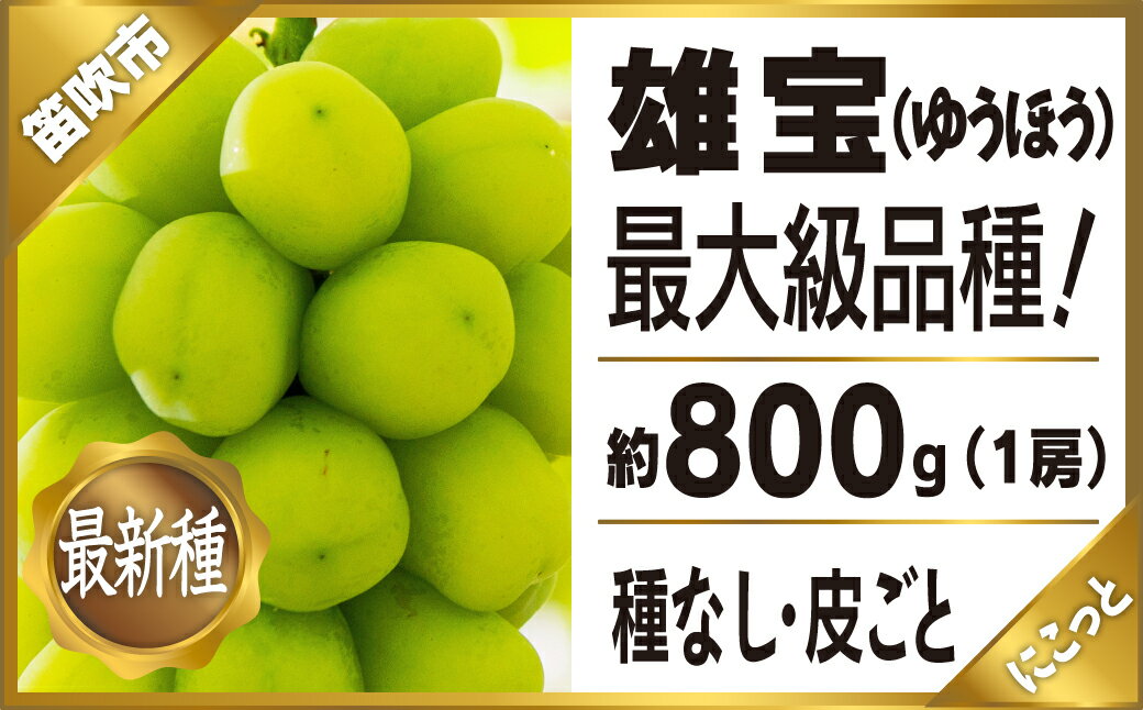 【ふるさと納税】山梨県笛吹市産雄宝（ゆうほう）1房 約800g