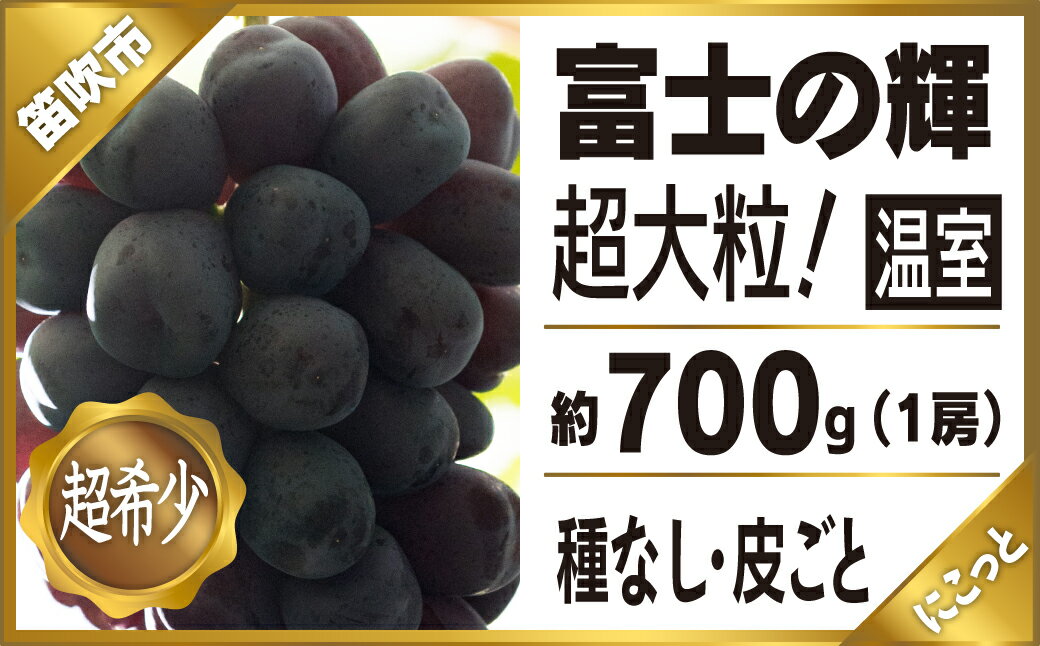 [2024年先行予約]温室富士の輝1房約700g ふるさと納税 おすすめ ランキング ブラックシャインマスカット 富士の輝 笛吹市 国産 人気 ぶどう ブドウ 葡萄 旬 果物 フルーツ 山梨県 送料無料 097-002