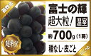 【ふるさと納税】＜2024年先行予約＞温室富士の輝1房約70