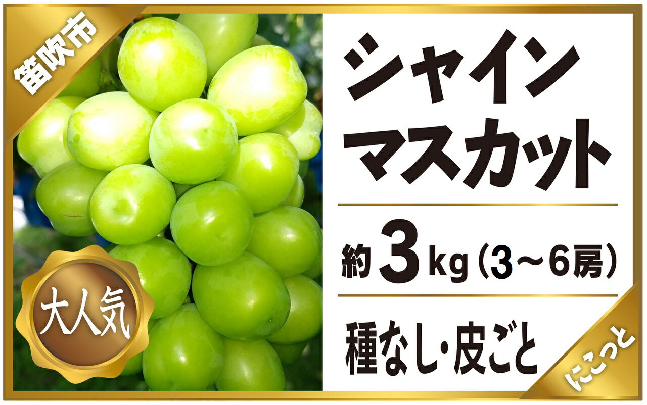 【ふるさと納税】＜2024年先行予約＞シャインマスカット 3〜6房 約3.0kg ※沖縄県・離島は発送不可 ふるさと納税 おすすめ ランキング シャインマスカット 笛吹市 国産 人気 期間限定 ぶどう 葡萄 果物 甘い デザート おやつ 山梨県 送料無料 097-014