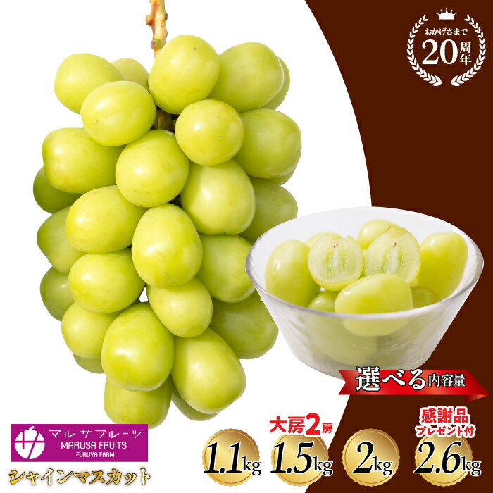 ֡ڤդ뤵Ǽǡۡ2024ǯͽ٤̡ۥ㥤ޥå 1.1 kg~2.6kgʾ ڤߴ ָ ޥ륵ե롼 Ų ū԰ܻ īΤ ľ  ͵ ֤ɤ ֥ɥ ƺ £ʪ ե ץ쥼  ʪ ե롼 088-012פ򸫤