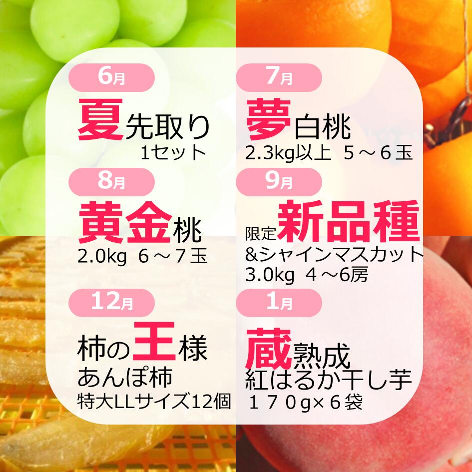 【ふるさと納税】【定期便：全6回】極み四重奏 季節ごとの最高品を産地直送桃 もも モモ 葡萄 ぶどう ブドウ シャインマスカット 新品種 柿 かき カキ 干し芋 干しいも 芋 いも イモ 特大 大粒 熟成 糖度 先行予約 限定 山梨 笛吹 一宮 ギフト 人気