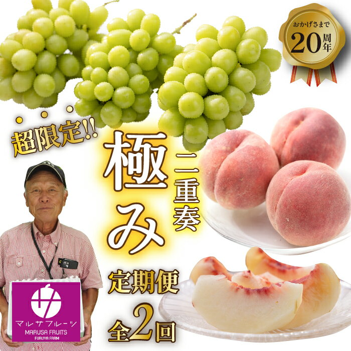 【ふるさと納税】【定期便：全2回】極み二重奏 季節ごとの最高品を産地直送 ふるさと納税 人気 おすすめ ランキング シャインマスカット 桃 葡萄 ブドウ 果物 フルーツ 定期便 山梨県 笛吹市 送料無料 088-019のサムネイル