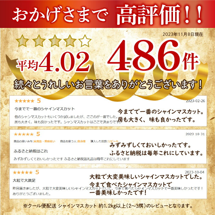 【ふるさと納税】＜選べる配送＞2024年発送 産地厳選 シャインマスカット 1.2kg～1.3kg（2房～3房) ※沖縄・離島配送不可 ふるさと納税 シャイン マスカット 贈答 ギフト 笛吹市 人気 期間限定 ぶどう ブドウ 葡萄 先行予約 旬 果物 フルーツ 山梨県 送料無料 106-003