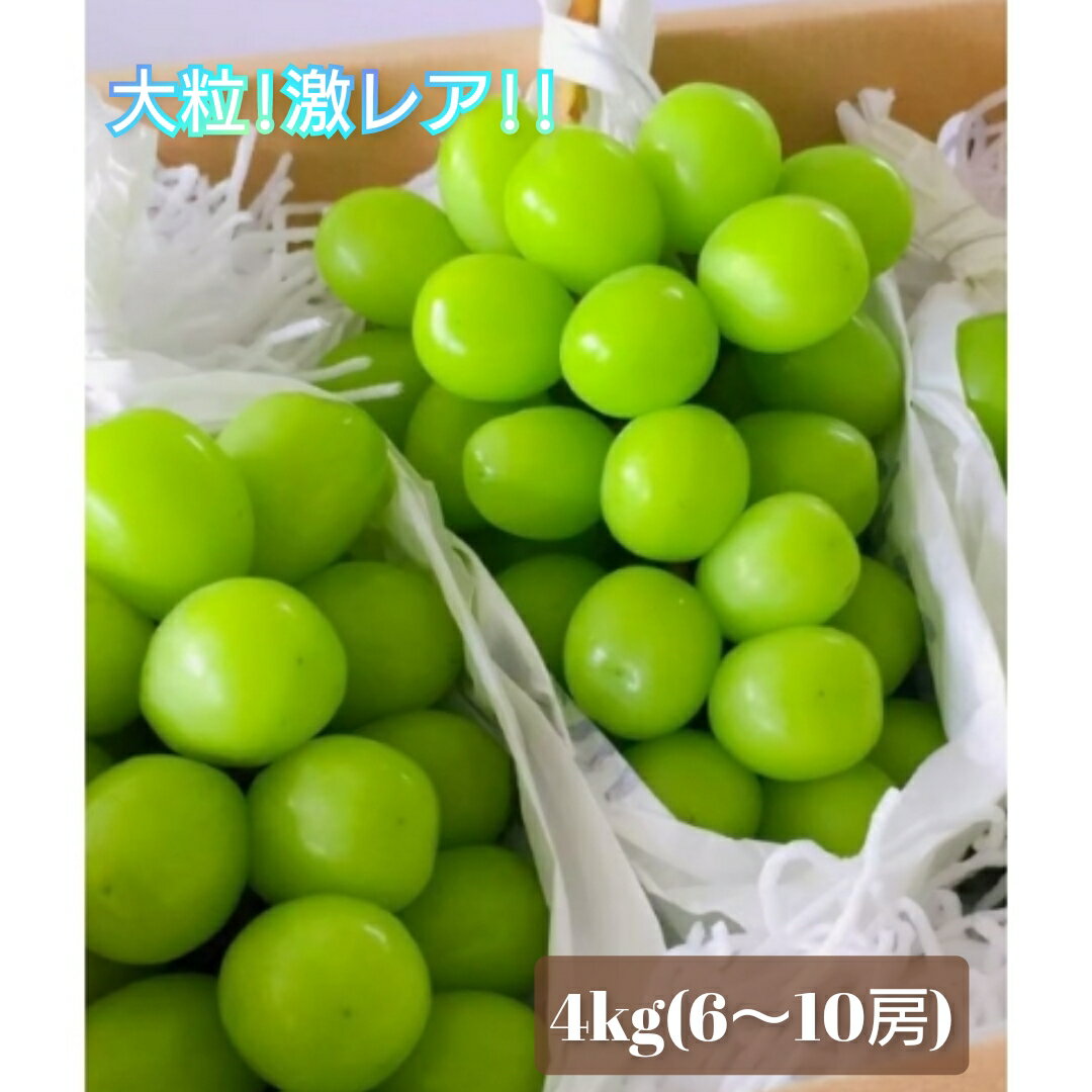 【ふるさと納税】 ＜2024年先行予約＞激レア！！シャインマスカット糖度20度以上保障4kg以上 ふるさと納税 シャインマスカット 笛吹市 国産 人気 期間限定 ぶどう ブドウ 葡萄 旬 果物 フルーツ 山梨県 送料無料 先行予約 106-005