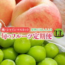 【ふるさと納税】ふえふき旬のフルーツ定期便(桃・シャインマスカット)全2回【LL】 ふるさと納税 おすすめ ランキング もも 桃 笛吹市 国産 人気 期間限定 果物 フルーツ おやつ デザート ピーチ 旬 山梨県 送料無料 109-023