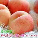 【ふるさと納税】【2026年発送★先行予約】ももの名産地”山梨”の桃 約2kg(5~8玉入り) ふるさと納税 おすすめ ランキング もも 桃 笛吹市 国産 人気 期間限定 果物 フルーツ おやつ デザート ピーチ 旬 山梨県 送料無料 109-009