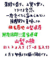 【ふるさと納税】＜2024年先行予約＞ももの名産地”山梨”の桃 約2kg（5～8玉入り） ふるさと納税 おすすめ ランキング もも 桃 笛吹市 国産 人気 期間限定 果物 フルーツ おやつ デザート ピーチ 旬 山梨県 送料無料 109-009･･･ 画像1