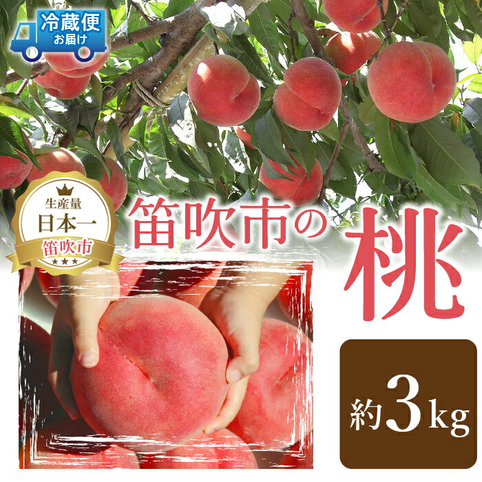 【ふるさと納税】＜2024年先行予約＞山梨の完熟桃3kg ふるさと納税 もも 桃 笛吹市 国産 人気 期間限定 果物 フルーツ 旬 山梨県 送料無料 111-019