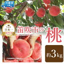 ＜2024年先行予約＞山梨の完熟桃3kg ふるさと納税 もも 桃 笛吹市 国産 人気 期間限定 果物 フルーツ 旬 山梨県 送料無料 111-019