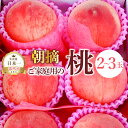 【ふるさと納税】<25年発送先行予約>ご家庭用の桃2~3玉 ふるさと納税 もも 桃 笛吹市 国産 人気 期間限定 果物 フルーツ 旬 山梨県 送料無料 111-022
