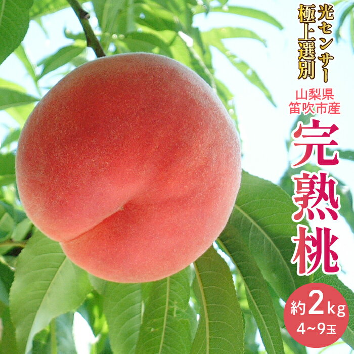 [2024年先行予約]笛吹市産こだわりの桃 約2.0kg(4〜9玉) 常温 ふるさと納税 おすすめ ランキング もも 桃 笛吹市 国産 人気 期間限定 果物 フルーツ おやつ ピーチ 旬 山梨県 送料無料 090-010