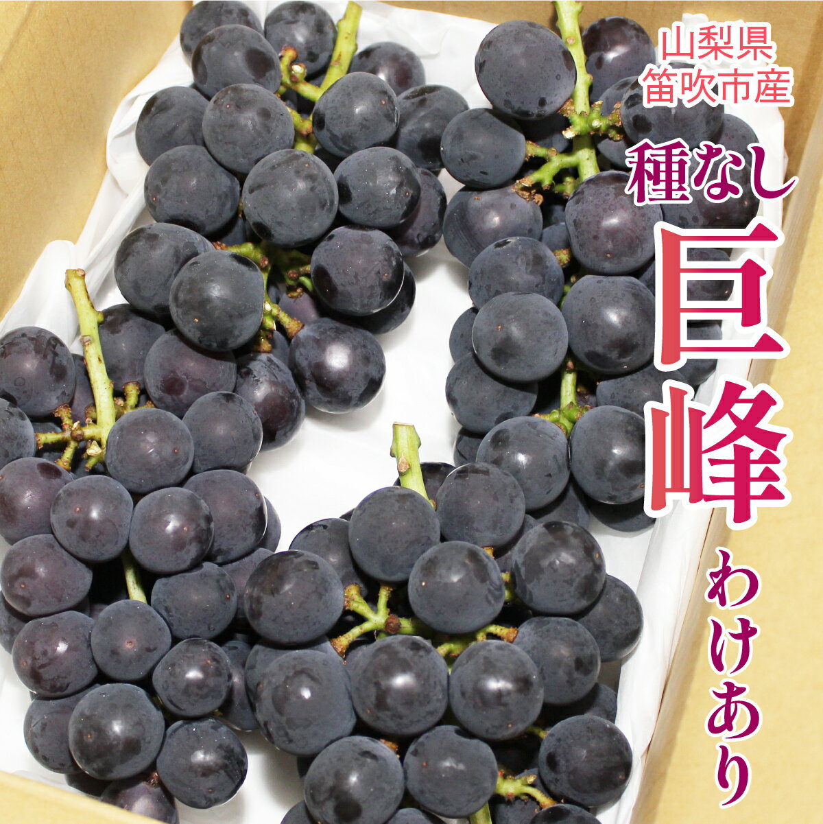 【ふるさと納税】山梨県笛吹市産わけあり巨峰（たねなし） ふるさと納税 巨峰 わけあり 訳アリ 笛吹市 国産 人気 期間限定 ぶどう ブドウ 葡萄 旬 果物 フルーツ 山梨県 送料無料 090-018のサムネイル