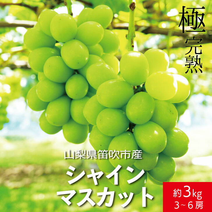 6位! 口コミ数「10件」評価「4.2」＜2024年先行予約＞☆絶品☆ シャインマスカット 3-6房約3.0kg ふるさと納税 おすすめ ランキング シャインマスカット 笛吹市 国･･･ 