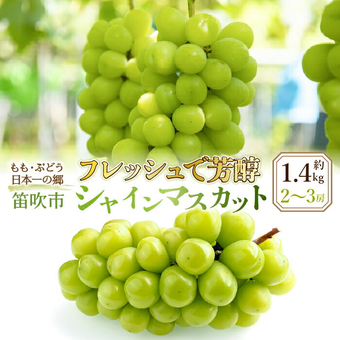 4位! 口コミ数「39件」評価「4.15」＜2024年先行予約＞フレッシュで芳醇シャインマスカット2-3房　約1.4kg★ ふるさと納税 おすすめ ランキング シャインマスカット 笛･･･ 