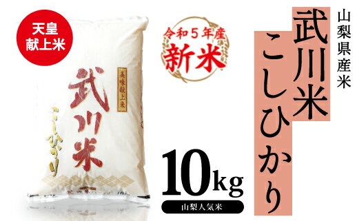 【ふるさと納税】山梨県産 武川米こしひかり10kg ふるさと