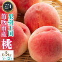 ＜2024年先行予約＞ 山梨県 笛吹市産 朝獲り 新鮮 桃 3kg （7～12玉） ※沖縄県・離島への発送不可となります。 ※常温配送 ふるさと納税 もも 桃 笛吹市 国産 人気 期間限定 果物 フルーツ 旬 山梨県 送料無料 126-006