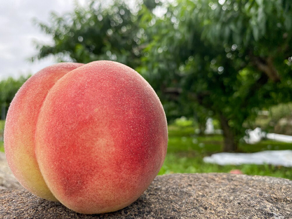 山梨県笛吹市の画像2