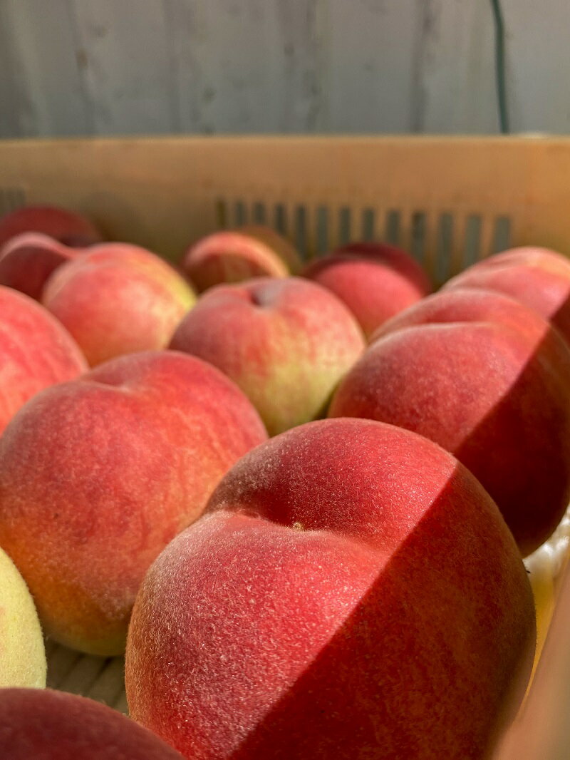 山梨県笛吹市の画像3