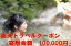 【ふるさと納税】山梨県笛吹市の対象施設で使える楽天トラベルクーポン 寄付額 100,000円 100,000円