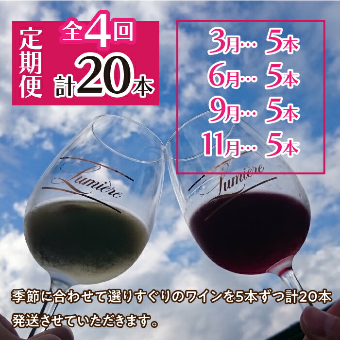 【ふるさと納税】ルミエール 〜ワイン定期便〜 《フルコース》ふるさと納税 ワイン 笛吹市 山梨ワイン 酒 アルコール 山梨県 記念品 お祝い 送料無料 063-005