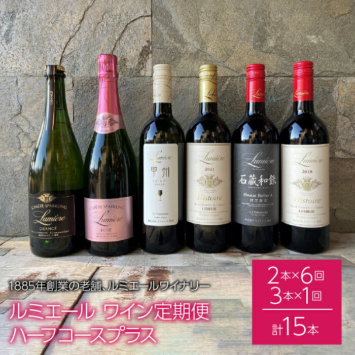 【ふるさと納税】ルミエール 〜ワイン定期便ハーフコースプラス〜 ふるさと納税 ワイン 笛吹市 山梨ワイン 酒 アルコール 山梨県 記念品 お祝い 送料無料 06...