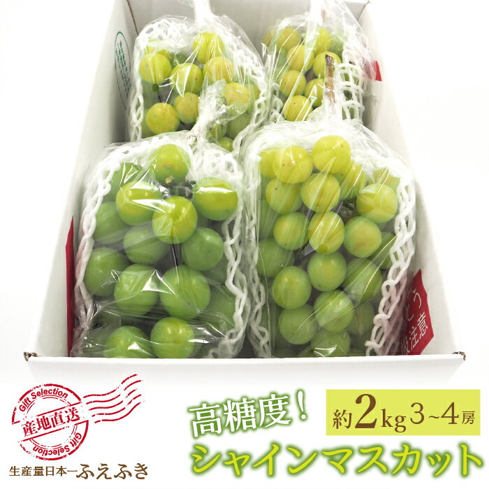 11位! 口コミ数「3件」評価「5」＜2024年先行予約＞厳選！山梨県笛吹市産 シャインマスカット 約2.0kg（3～4房） ふるさと納税 人気 おすすめ ランキング シャイン･･･ 